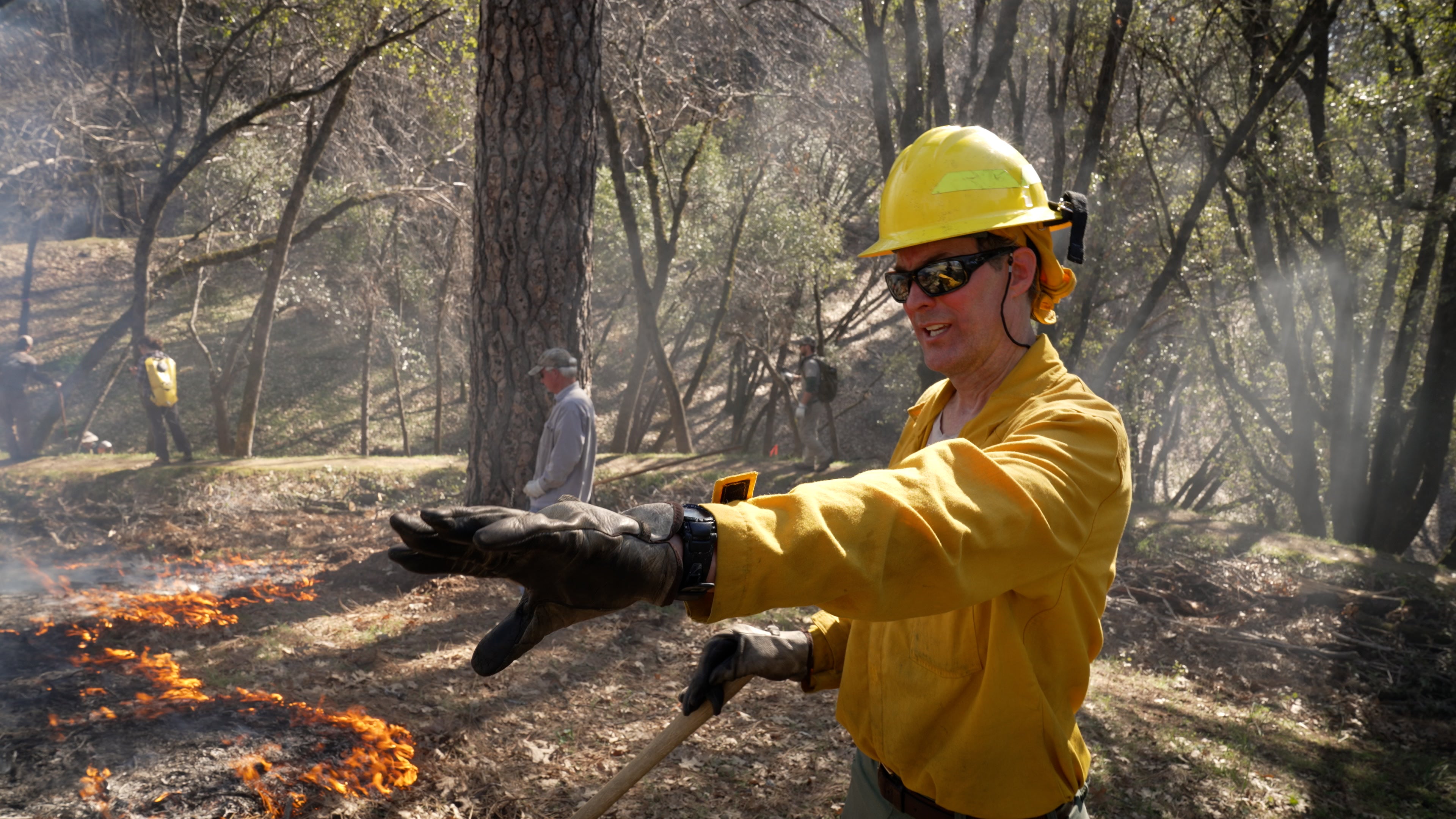 Reforms Needed To Expand Prescribed Burns | UC Davis